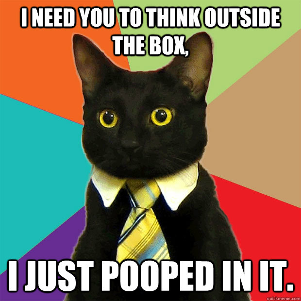 I need you to think outside the box, I just pooped in it.  Business Cat