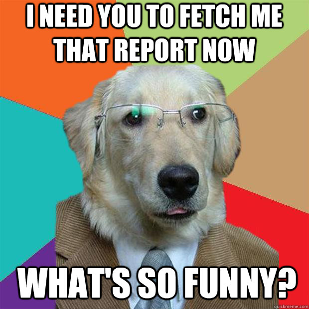 I NEED YOU TO FETCH ME THAT REPORT NOW WHAT'S SO FUNNY?  Business Dog