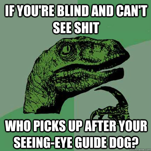 If you're blind and can't see shit Who picks up after your seeing-eye guide dog?  Philosoraptor