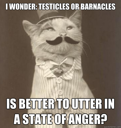 I WONDER: TESTICLES OR BARNACLES IS BETTER TO UTTER IN A STATE OF ANGER?  Original Business Cat