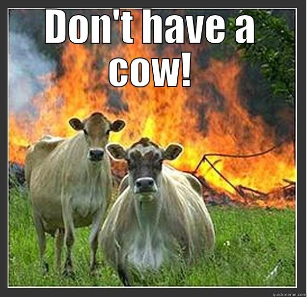 Band cows - DON'T HAVE A COW!  Evil cows