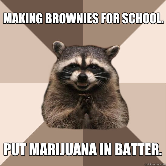 Making brownies for school. Put marijuana in batter. - Making brownies for school. Put marijuana in batter.  Evil Plotting Raccoon