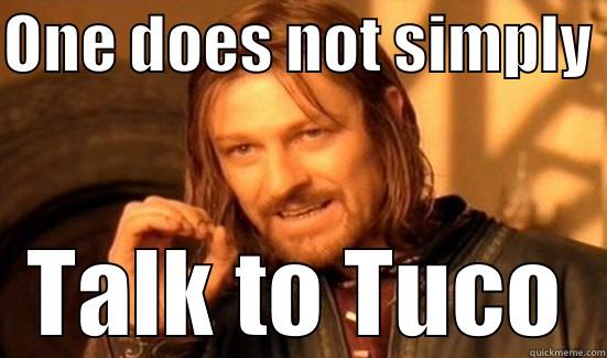 ONE DOES NOT SIMPLY  TALK TO TUCO Boromir