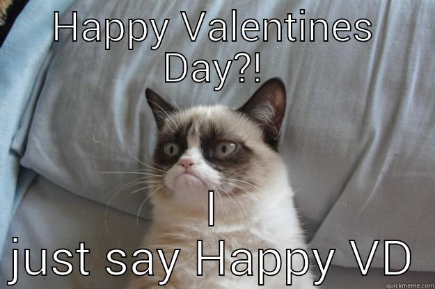 HAPPY VALENTINES DAY?! I JUST SAY HAPPY VD Grumpy Cat