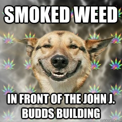 smoked weed in front of the John J. Budds building  Stoner Dog