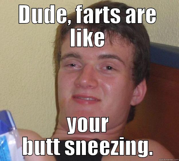 DUDE, FARTS ARE LIKE YOUR BUTT SNEEZING. 10 Guy