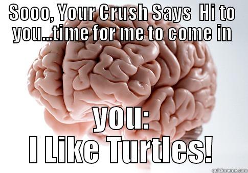 SOOO, YOUR CRUSH SAYS  HI TO YOU...TIME FOR ME TO COME IN YOU: I LIKE TURTLES! Scumbag Brain