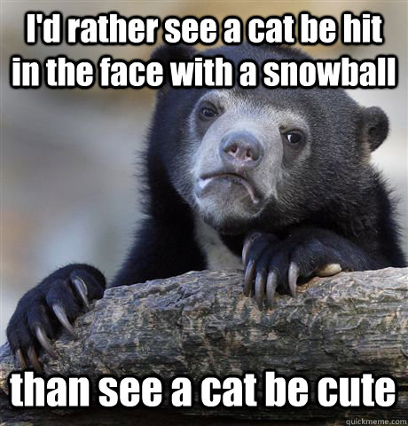 I'd rather see a cat be hit in the face with a snowball than see a cat be cute  Confession Bear