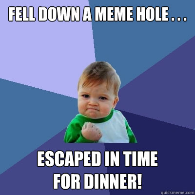 Fell Down A Meme Hole . . . escaped in time 
for dinner!  Success Kid