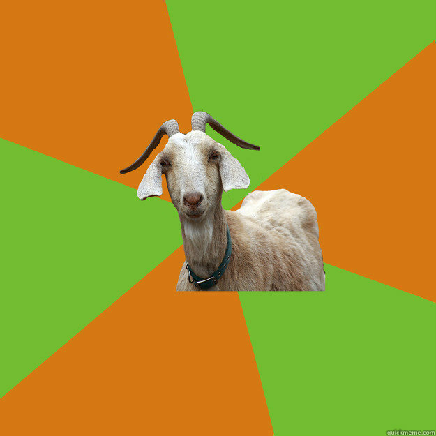    IB Goat