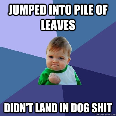 Jumped into pile of leaves Didn't land in dog shit  Success Kid