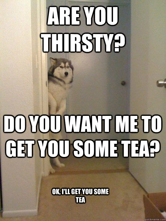 Are you thirsty? Do you want me to get you some tea? ok, I'll get you some tea - Are you thirsty? Do you want me to get you some tea? ok, I'll get you some tea  too-generous malamute