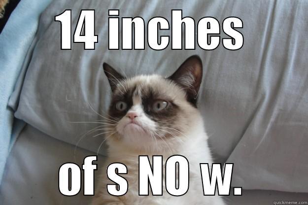 14 INCHES OF S NO W. Grumpy Cat