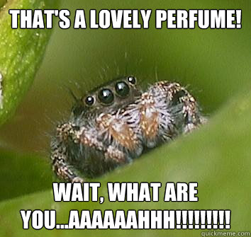 That's a lovely perfume! Wait, what are you...AAAAAAHHH!!!!!!!!! - That's a lovely perfume! Wait, what are you...AAAAAAHHH!!!!!!!!!  Misunderstood Spider