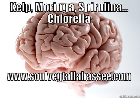 KELP, MORINGA, SPIRULINA... CHLORELLA WWW.SOULVEGTALLAHASSEE.COM Scumbag Brain