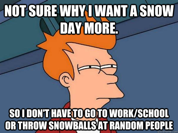 Not sure why I want a snow day more. so i don't have to go to work/school or throw snowballs at random people  Futurama Fry