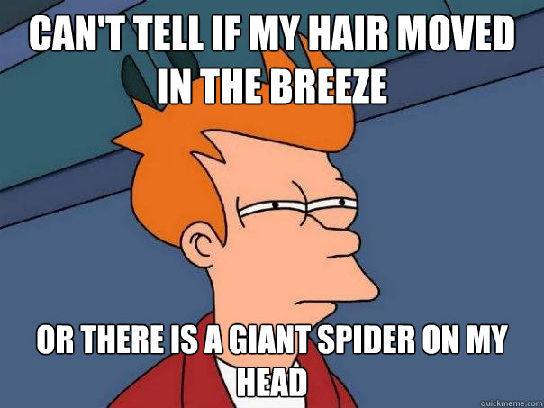 Can't tell if my hair moved in the breeze Or there is a giant spider on my head  Futurama Fry