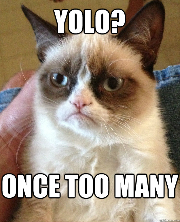 YOLO? once too many  Grumpy Cat