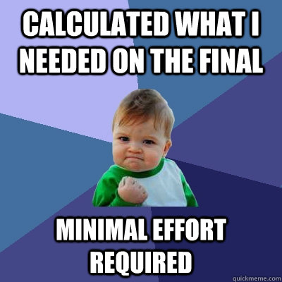 Calculated what i needed on the final minimal effort required  Success Kid