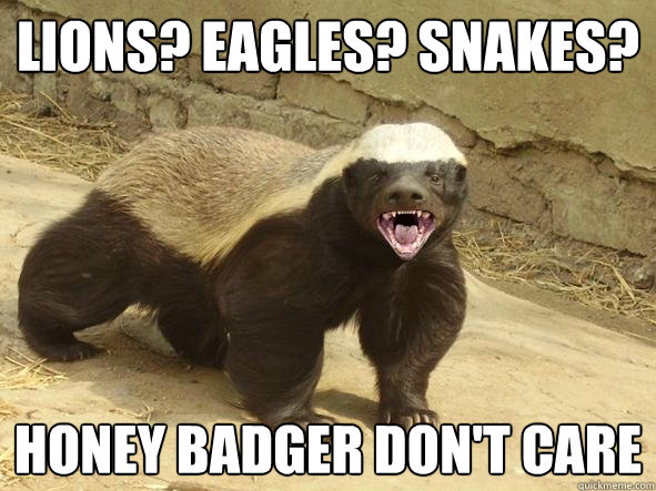 Lions? Eagles? Snakes? Honey Badger Don't Care  