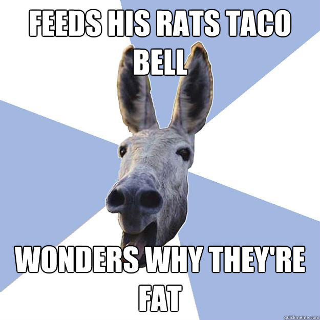 feeds his rats taco bell wonders why they're fat  Jackass Boyfriend