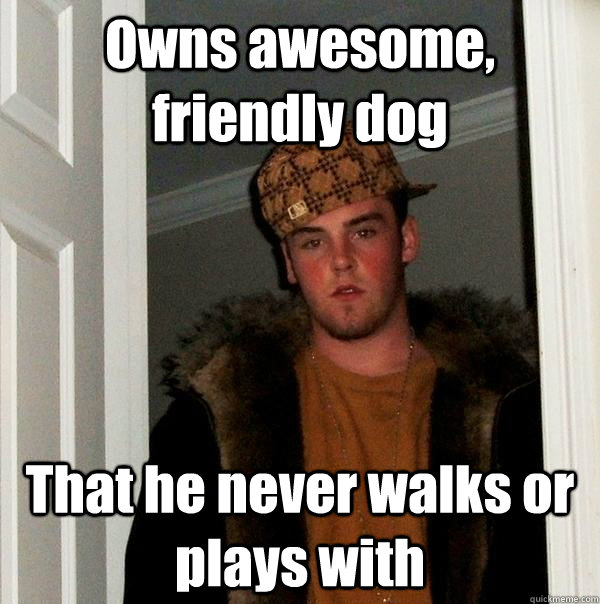 Owns awesome, friendly dog That he never walks or plays with - Owns awesome, friendly dog That he never walks or plays with  Scumbag Steve