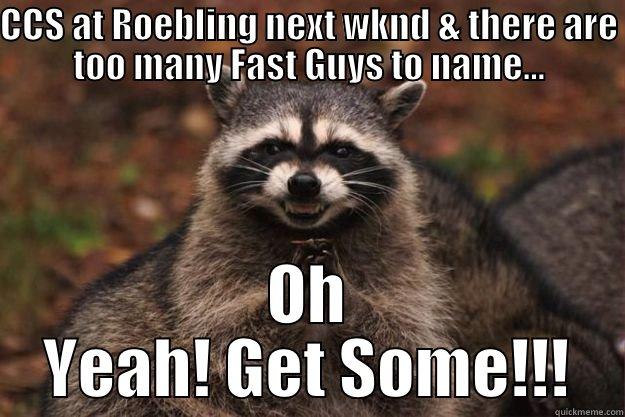 CCS AT ROEBLING NEXT WKND & THERE ARE TOO MANY FAST GUYS TO NAME... OH YEAH! GET SOME!!! Evil Plotting Raccoon