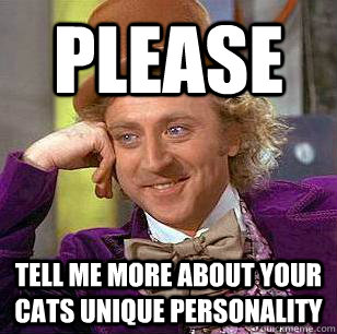 please tell me more about your cats unique personality  Condescending Wonka