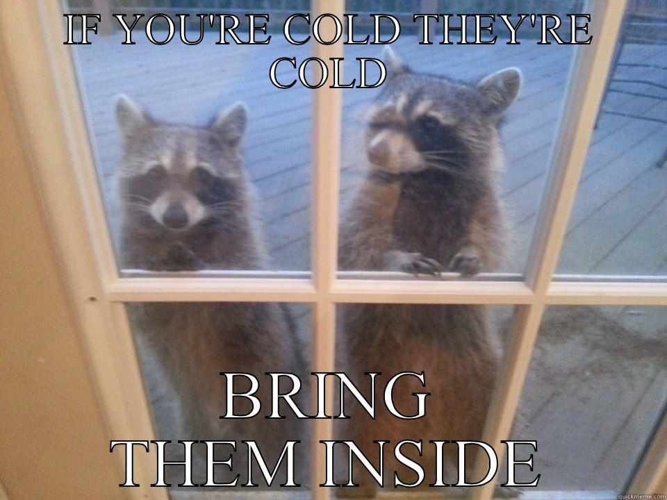 IF YOU'RE COLD THEY'RE COLD BRING THEM INSIDE Misc