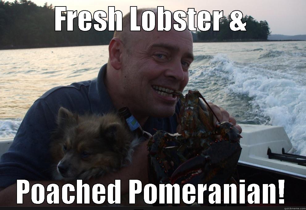 Oceanic Snack Pack - FRESH LOBSTER & POACHED POMERANIAN! Misc