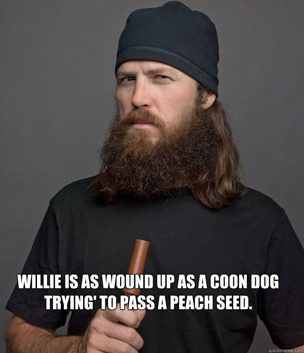  Willie is as wound up as a coon dog trying' to pass a peach seed. -  Willie is as wound up as a coon dog trying' to pass a peach seed.  Jase Robertson