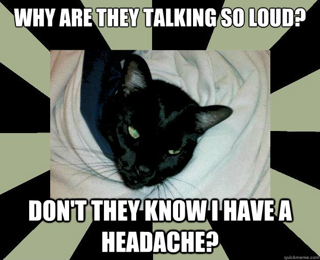 why are they talking so loud? don't they know I have a headache?  Curmudgeon Cat