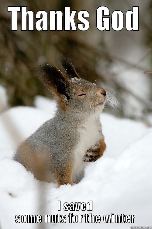 This is what my girlfriend told me when the first snow came. - THANKS GOD I SAVED SOME NUTS FOR THE WINTER Misc