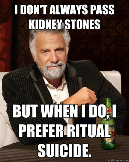 I don't always pass kidney stones But when I do, I prefer ritual suicide.  The Most Interesting Man In The World