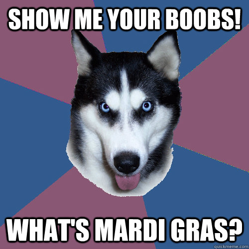 Show me your boobs! What's mardi gras?  Creeper Canine