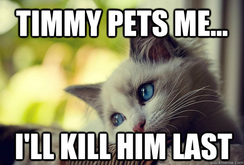 Timmy pets me... I'll kill him last  First World Problems Cat