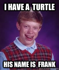 I have a  TUrtle His name is  Frank  Bad Luck Brian