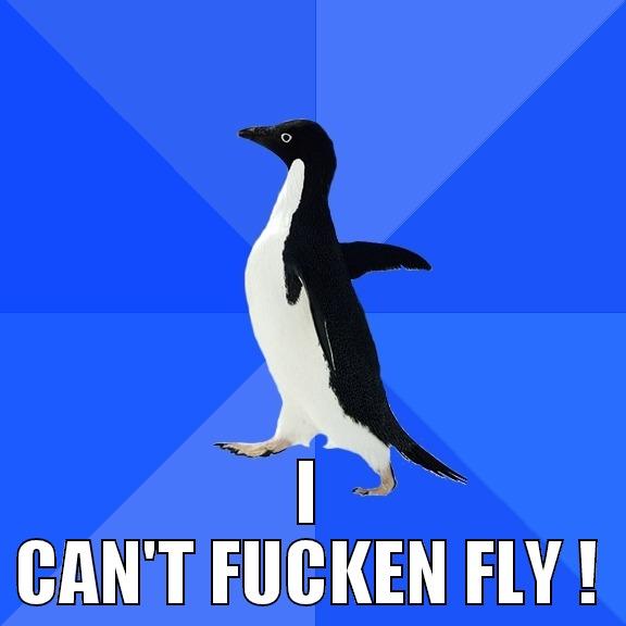 YOU SHIT-STACK ! -  I CAN'T FUCKEN FLY ! Socially Awkward Penguin