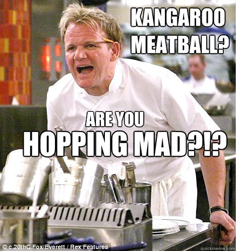 Kangaroo
meatball? Are you HOPPING MAD?!?  gordon ramsay