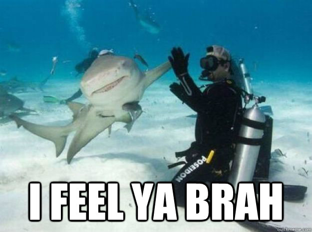  I FEEL YA BRAH -  I FEEL YA BRAH  SHARK FIVE