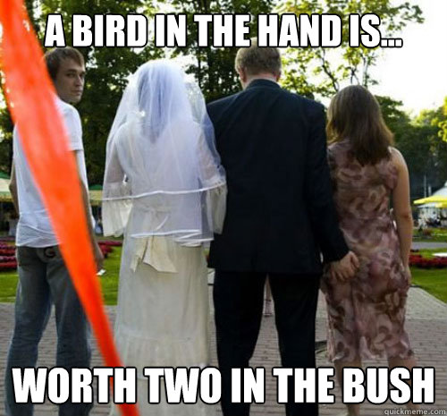 A bird in the hand is... worth two in the bush - A bird in the hand is... worth two in the bush  Misc