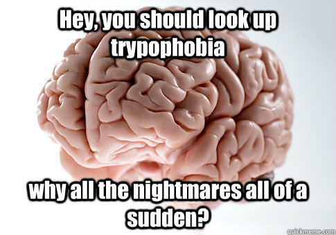 Hey, you should look up trypophobia why all the nightmares all of a sudden?   Scumbag Brain