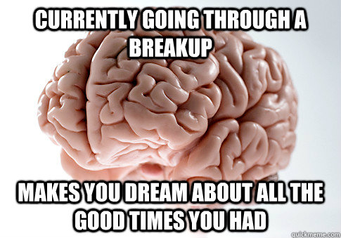 currently going through a breakup makes you dream about all the good times you had  Scumbag Brain