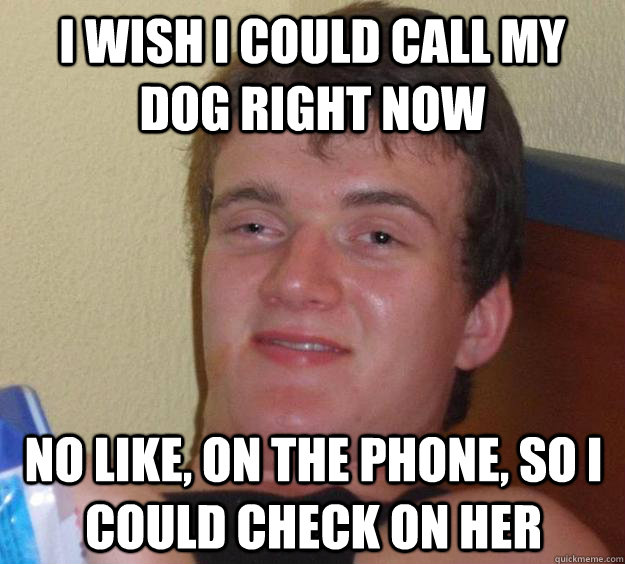 I wish I could call my dog right now no like, on the phone, so i could check on her  10 Guy