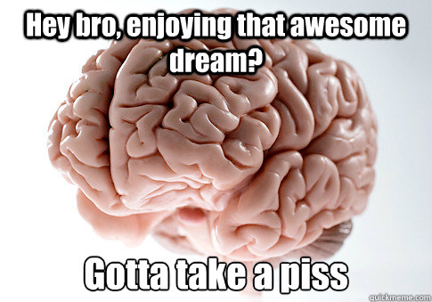 Hey bro, enjoying that awesome dream? Gotta take a piss  Scumbag Brain