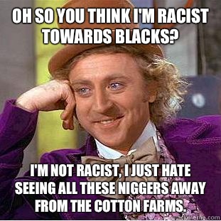 Oh so you think I'm racist towards blacks? I'm not racist, I just hate seeing all these niggers away from the cotton farms.  Condescending Wonka