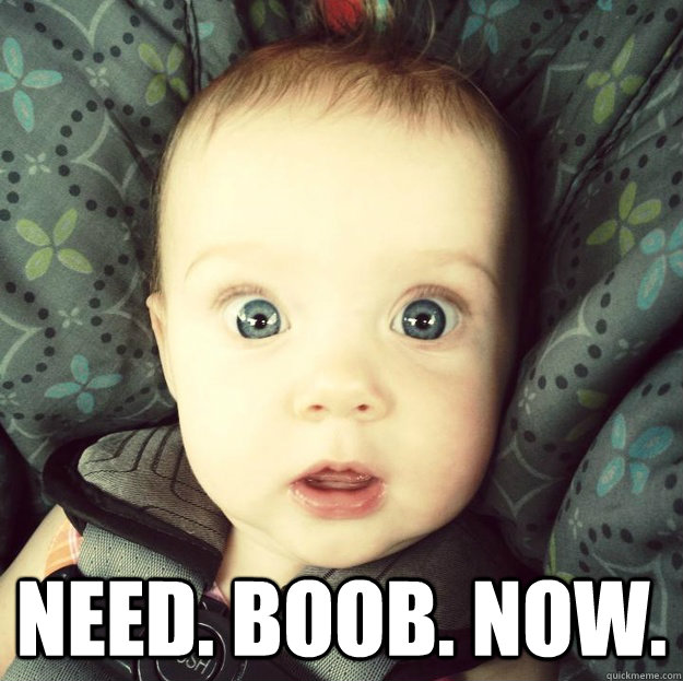  need. boob. now.  