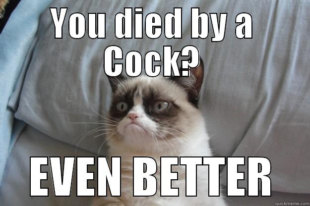 YOU DIED BY A COCK? EVEN BETTER Grumpy Cat