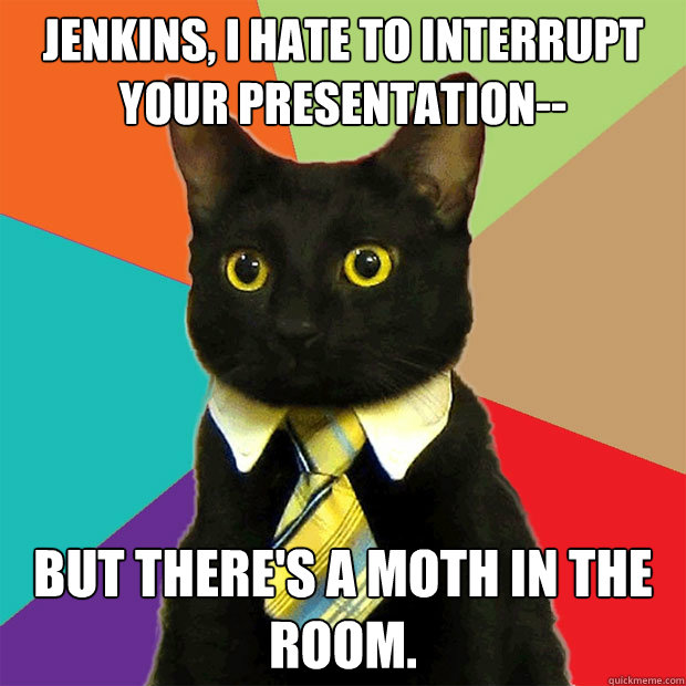 Jenkins, I hate to interrupt your presentation-- But there's a moth in the room.  Business Cat