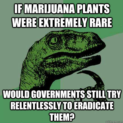 If marijuana plants were extremely rare would governments still try relentlessly to eradicate them?  Philosoraptor